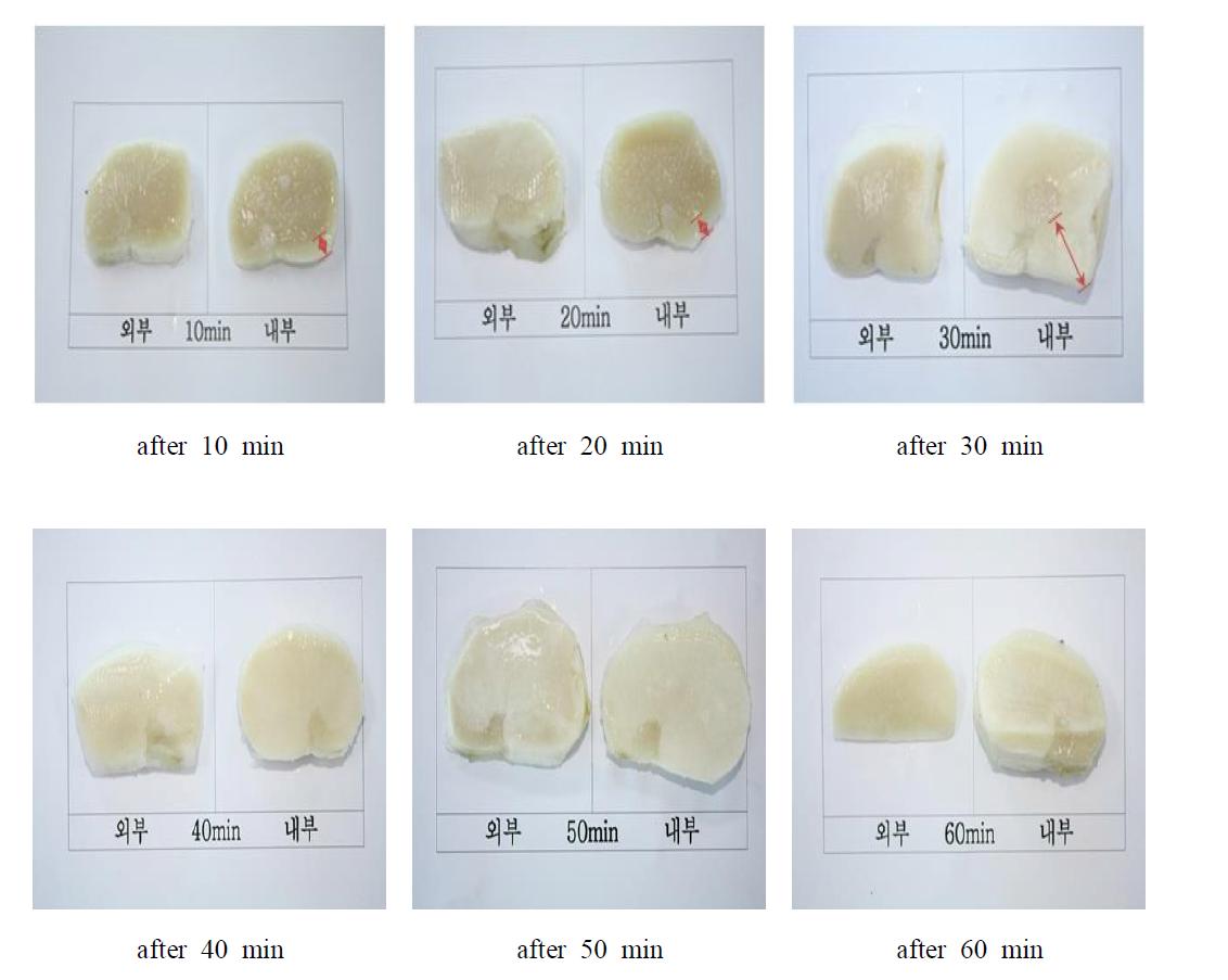 Surface and internal cut view of brine frozen pen-shell adductor muscle at freezing time elapsed at -55℃.