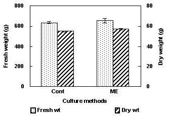 Effect of medium supply method on growth of ginseng adventitious root cultured in 5 L bulb type bioreactor for 40 day.