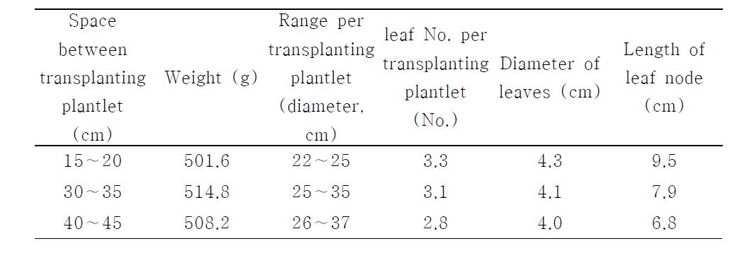The effect of transplant space for C. asiatica plantlet to soil.