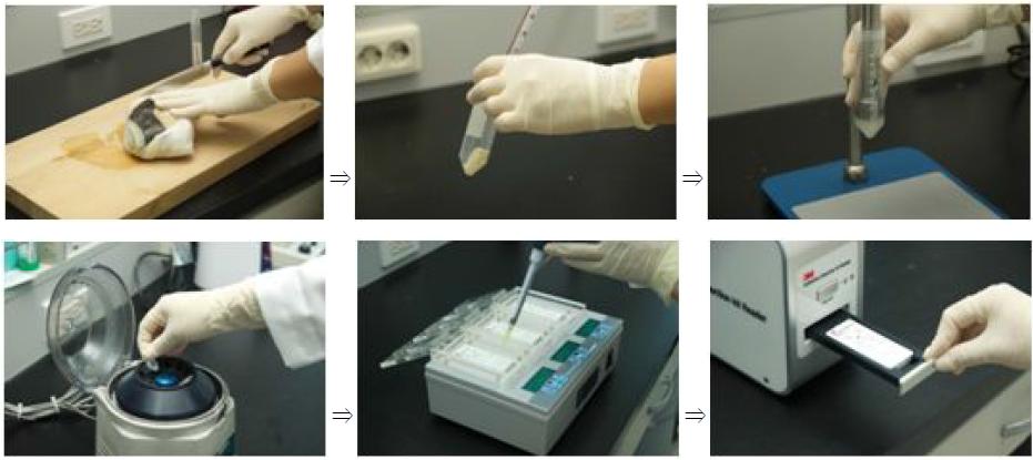 시료전처리 및 검사 순서