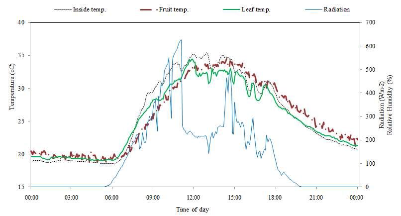 온실 기온 및 토마토 잎과 열매의 온도 변화