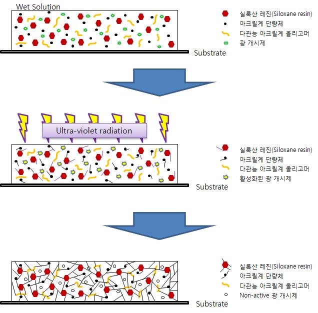 다관능 아크릴계 올리고머와 실록산 레진 혼합코팅제의 광경화 반응 모식도.