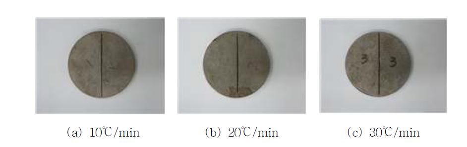 승온 속도에 따른 소결 시편