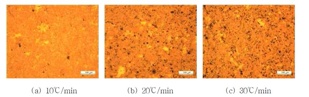 승온 속도별 소결 시편의 광학현미경 사진
