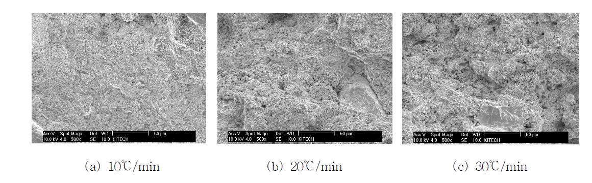 승온 속도에 따른 소결 시편 SEM 사진