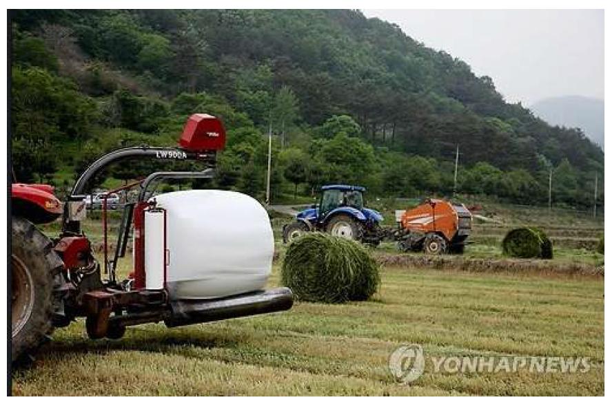 곤포사일리지