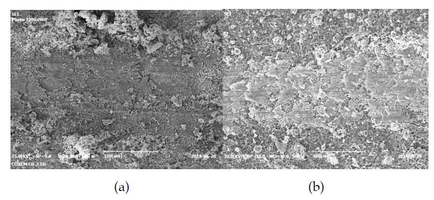 세라믹코팅층의 마모된 표면 : (a) AlN코팅층 (b) Greenshield 코팅층