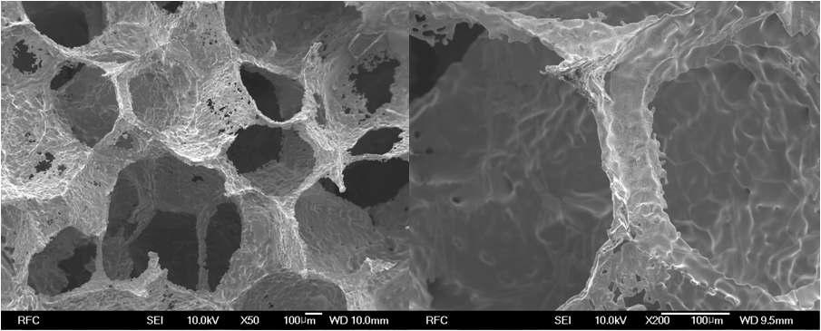 1200℃에서 Fe-Cu 액상소결된 다공체 FE-SEM 분석 (x50, x200)