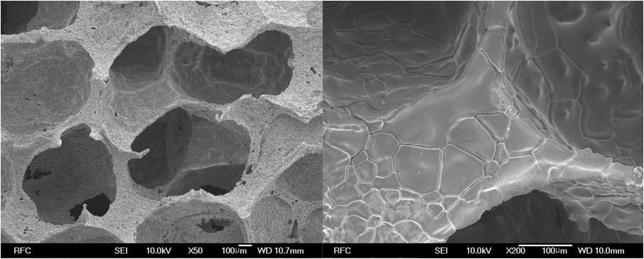 1300℃에서 Fe-Cu 액상소결된 다공체 FE-SEM 분석 (x50, x200)