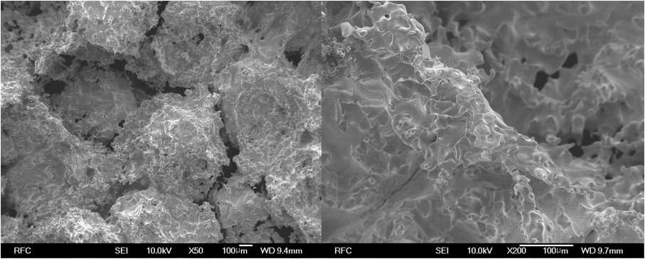 1200℃에서 STS310-Cu 액상소결된 다공체 FE-SEM 분석 (x50, x200)