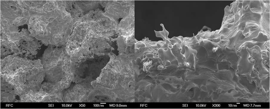 1300℃에서 STS310-Cu 액상소결 된 다공체 FE-SEM 분석 (x50, x300)