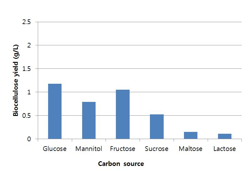탄소원에 따른 바이오셀룰로오스 생산