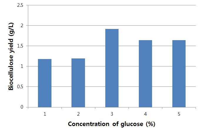 Glucose의 농도에 따른 바이오셀룰로오스 생산
