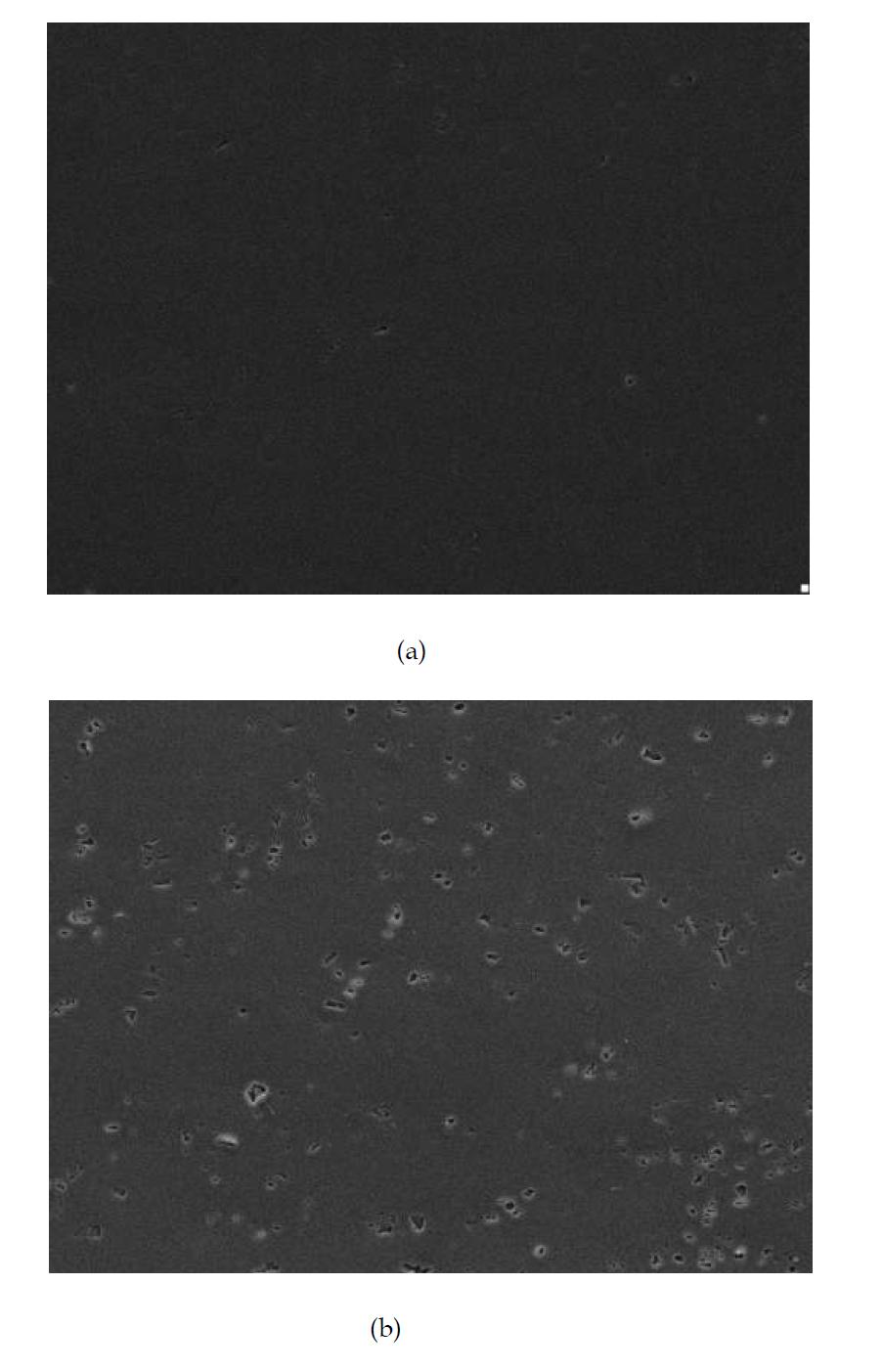 고 순도 알루미늄과 Al6061피막 표면사진 X1,000(경면 폴리싱)(a)고 순도 알루미늄 (b) Al6061