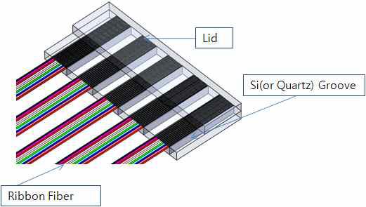 Fiber Array