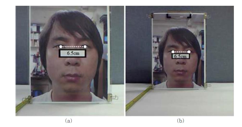 6.5cm의 눈 거리를 가진 사람의 영상을 다양한 거리에서 촬영한 결과