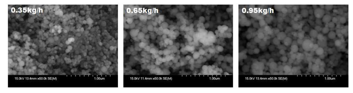 FE-SEM images of synthesized powder with feeding rate.