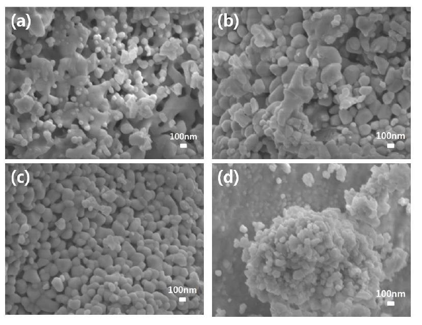 FE SEM micrographs of (ZrO)2P2O7 powders synthesized at 1200℃ (a) PVA 4:1, (b) PVA 8:1, (c) PVA 12:1 and (d) PVA 16:1