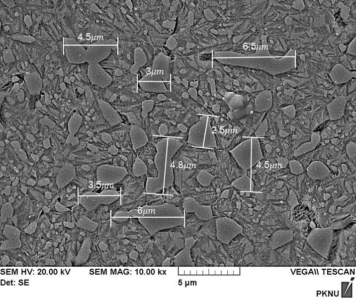SPRAG-PARKING 침탄열처리 시작품 표면부의 탄화물 크기를 보여주는 SEM사진
