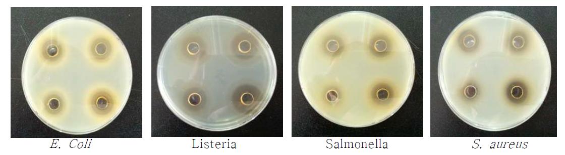 Inhibition abilities of fermented Rehmannia glutinosa against pathogenic bacteria