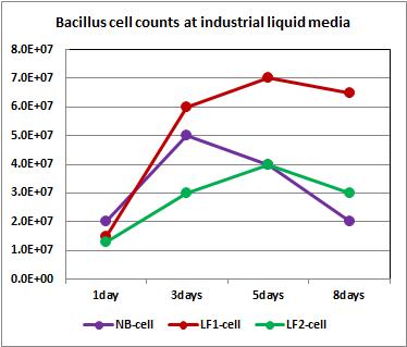 B. licheniformis DK42 cell growth patterns in industrial liquid media.