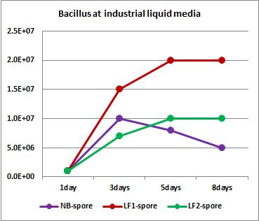 B. licheniformis DK42 spore growth patterns in industrial liquid media