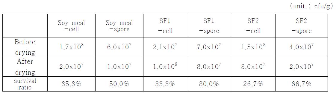 Bacillus licheniformis DK42 세포와 포자의 건조 후 생존율