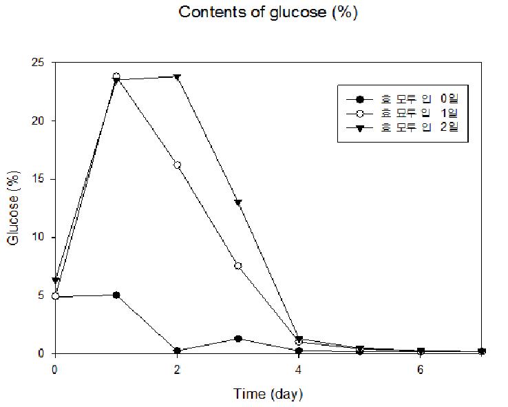 효모 투입시기 별 glucose 함량 분석 graph