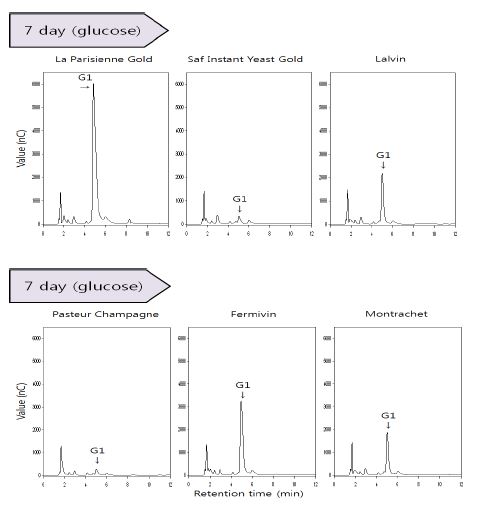 효모별 발효 경과에 따른 당화산물 분석