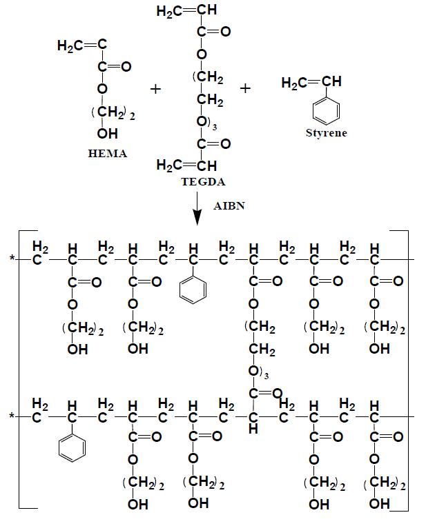 HEMA-co-styrene 중합체의 반응 구조