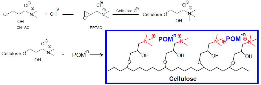 양이온성 셀룰로스의 제조방법과 이를 이용한 POM의 도입방법