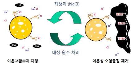 자성체 이온교환수지의 이온교환 및 재생 반응