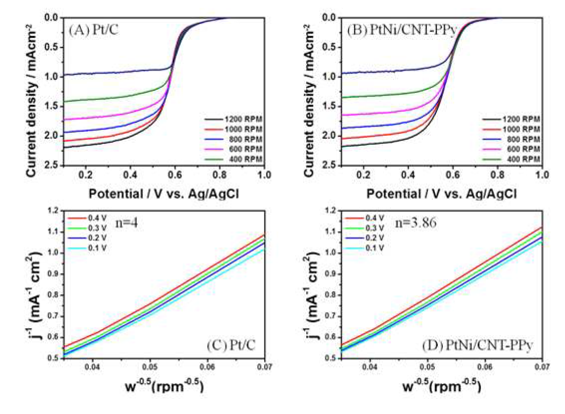 Pt/C 및 PtNi/PPy-CNT 촉매의 RDE의 RPM을 400에서 1200까지 전환한 상태에서의 LSV 커브들 및 그 촉매들의 Koutecky-Levich (K-L) 도시