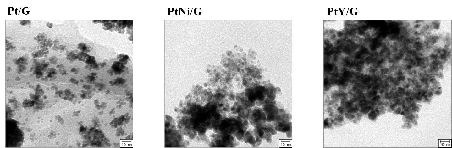 Pt/G 및 PtM/G 촉매의 TEM 분석결과