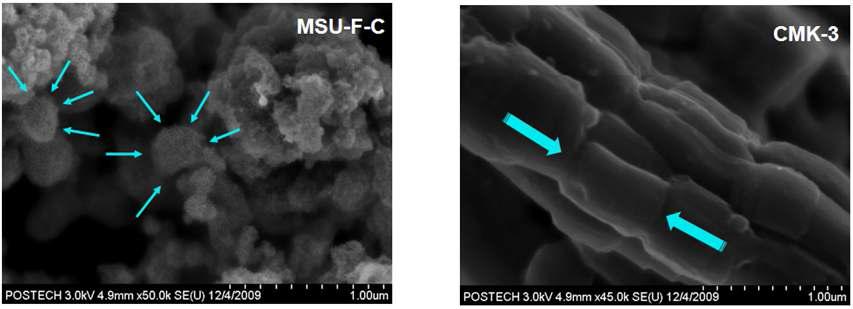 OMC (Ordered mesoporous carbon)의 SEM 분석결과