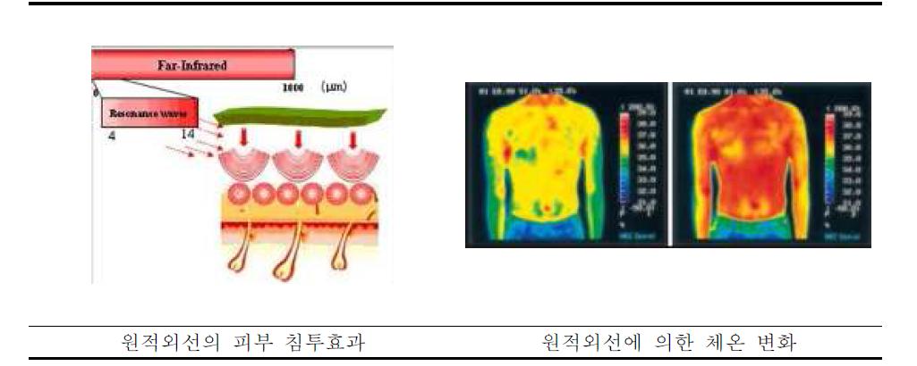 원적외선의 효과