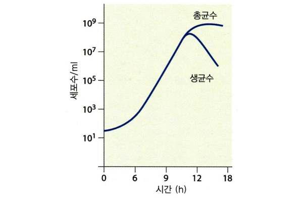 전형적인 세균의 생장곡선
