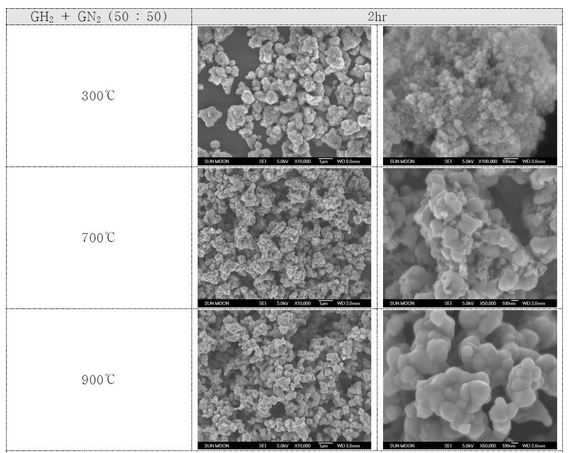혼합가스(GH2+GN2) 50:50에 따른 열처리온도별 TiON미세조직