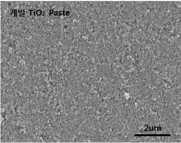 개발 TiO2 Paste