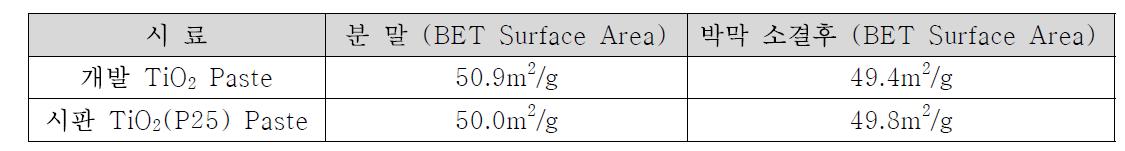 TiO2 분말 및 페이스트 BET 비표면적 분석 결과
