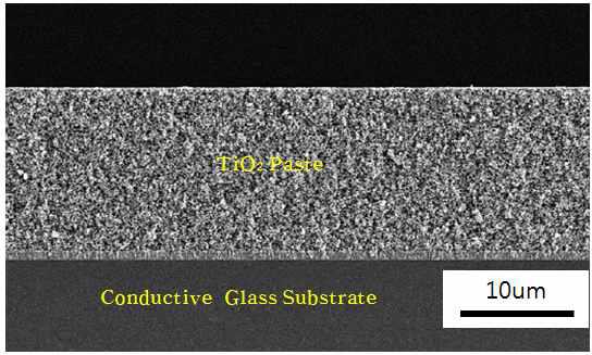 TiO2 paste 도포 단면 SEM 사진