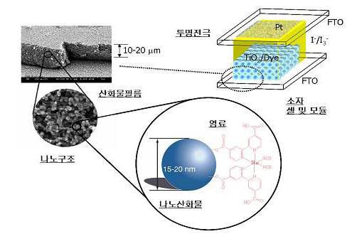 염료감응 태양전지의 광 전극 구조