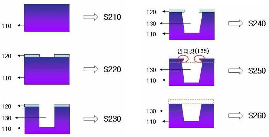 대표도