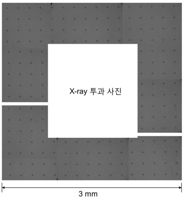 Cu 충전된 TSV의 X-선 투과 사진
