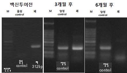 천안팜 농장에서의 PRRS PCR 검사
