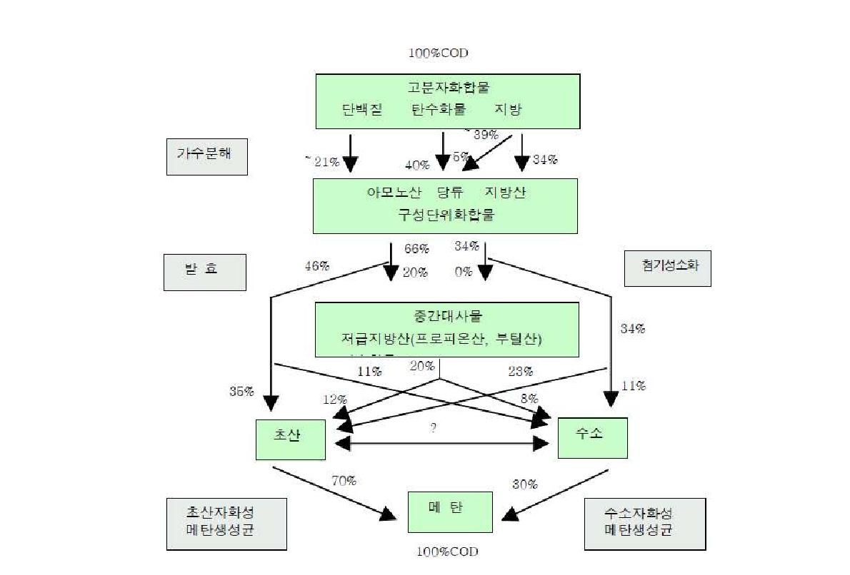 혐기성 소화에서의 생화학적 반응