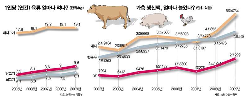 국내 육류 소비량