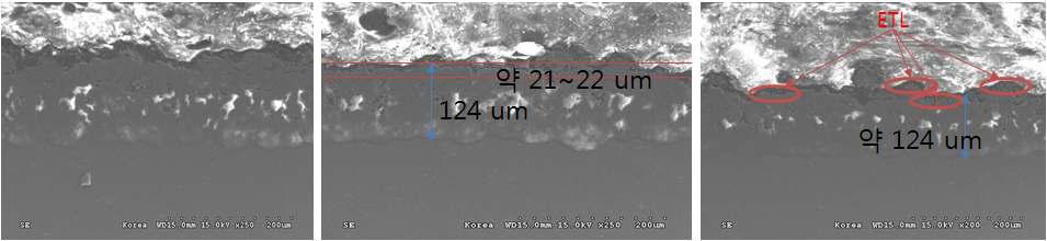 TiO2 나노분말이 산화피막의 표면부에 효과적으로 혼입되어 있는 코팅 샘 플의 전체 코팅두께와 ETL 코팅두께를 보여주는 단면부 SEM 분석사진