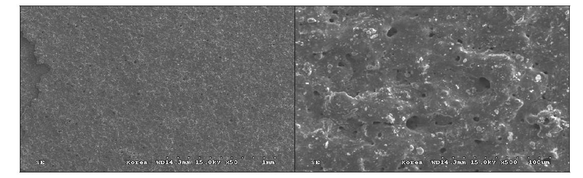 TiO2 나노분말이 산화피막의 표면부에 효과적으로 혼입됨을 보여주는 코 팅 샘플의 표면부 SEM 분석 사진
