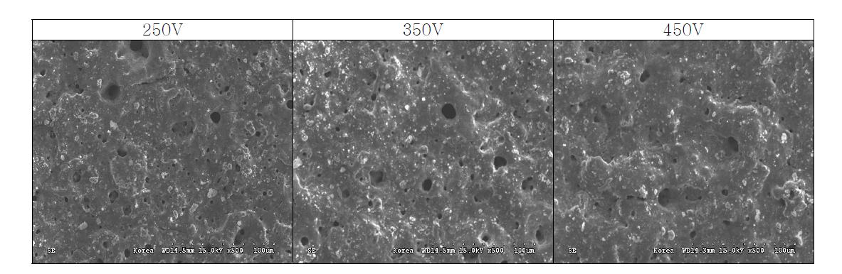 표면형상, 기공 크기 등 전압에 따른 표면특성 변화를 확인하기 위한 코팅 샘플의 표면부 SEM 분석 사진